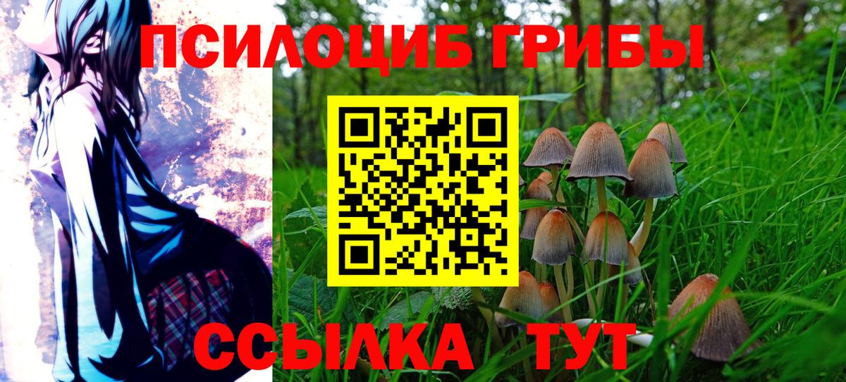 Галлюциногенные грибы MAGIC MUSHROOMS Большой Камень