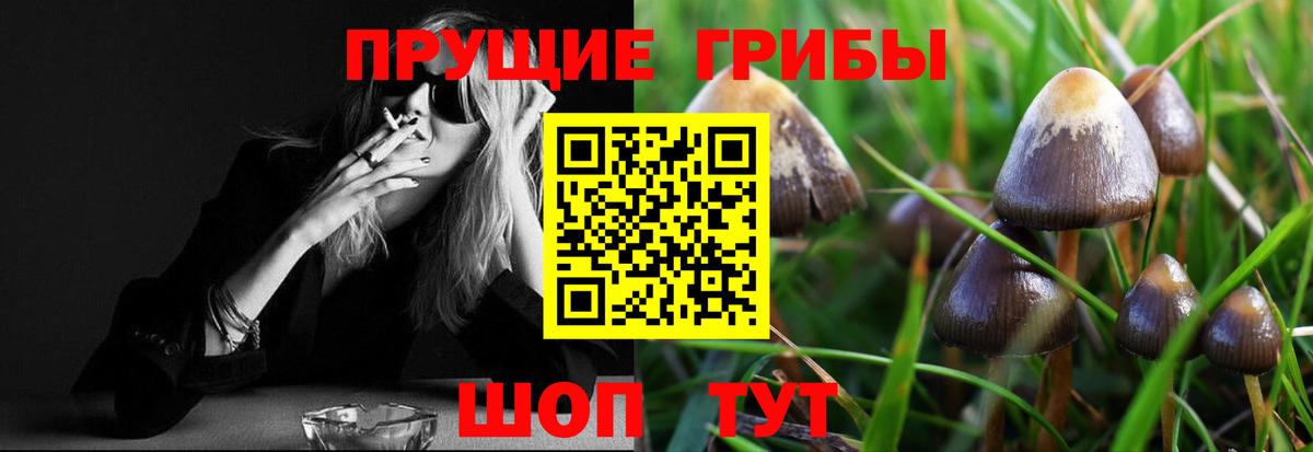 Большой Камень  Галлюциногенные грибы MAGIC MUSHROOMS  Вход с VPN 